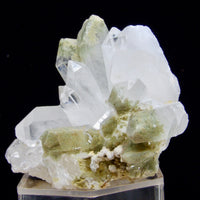 Natural 188g Chlorite Quartz cluster from Balochistan Pakistan with multiple white and clear quartz points featuring mossy green chlorite inclusions near the terminations.