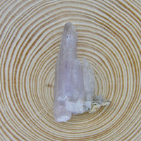 Cholla de Veracruz Quartz Crystal | Choose Your Piece | Veracruz, Mexico