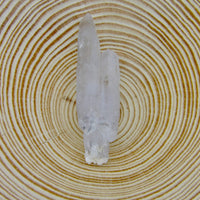 Cholla de Veracruz Quartz Crystal | Choose Your Piece | Veracruz, Mexico