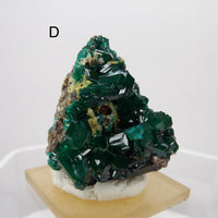 Dioptase Specimens from DR Congo | Choose Your Piece