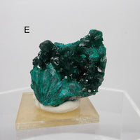 Dioptase Specimens from DR Congo | Choose Your Piece