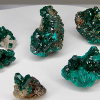 Dioptase Specimens from DR Congo | Choose Your Piece