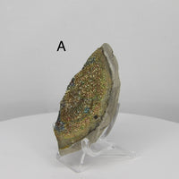 Rainbow Pyrite from Russia | Choose Your Piece