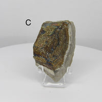 Rainbow Pyrite from Russia | Choose Your Piece