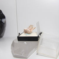 Rare Mini Rose Quartz Clusters – One-of-a-Kind Heart Healers