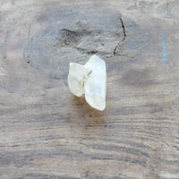 Clear quartz crystal point natural earth grown - raw
