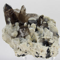 Smoky Quartz & Aegerine Specimen on Matrix – Malawi