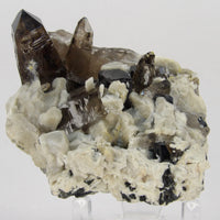 lustrous smoky quartz crystals rising from a contrasting white matrix accented with naturally occurring black aegirine crystals from Malawi.