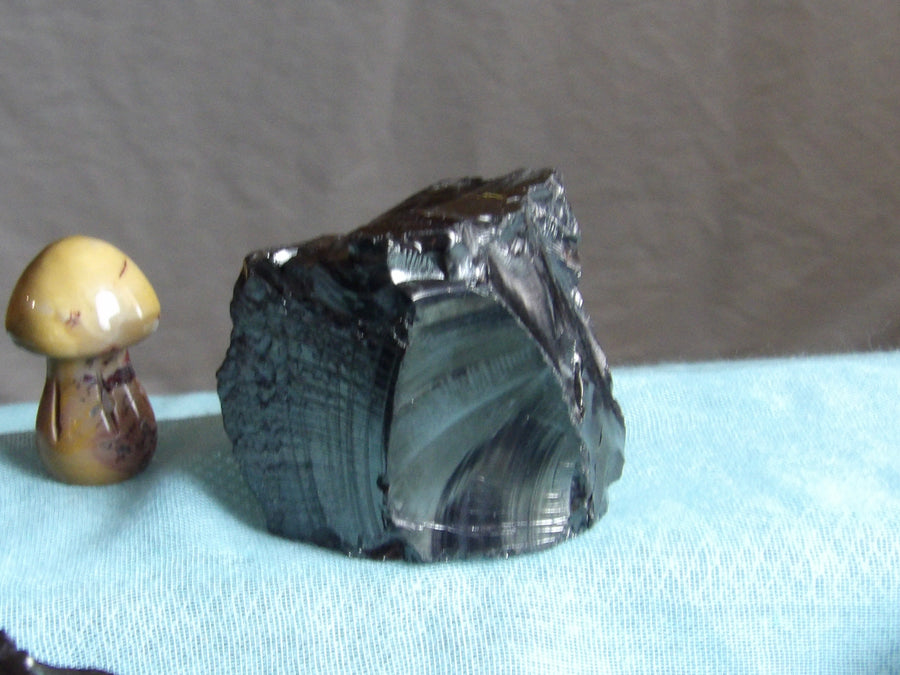 Elite Shungite Chunks