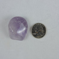 Amethyst Crystals - 20 g - 30 g (Price Per Piece)