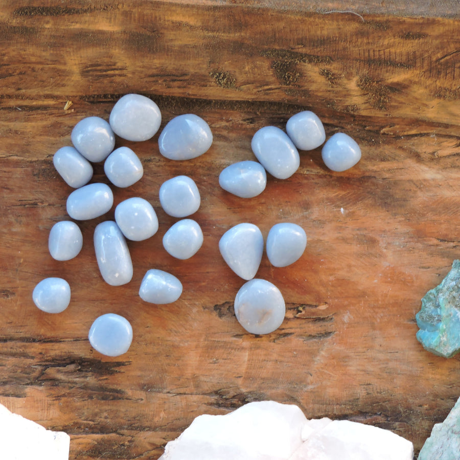 ✨ Angelite Crystal - Polished & Serene ✨ 2 sizes