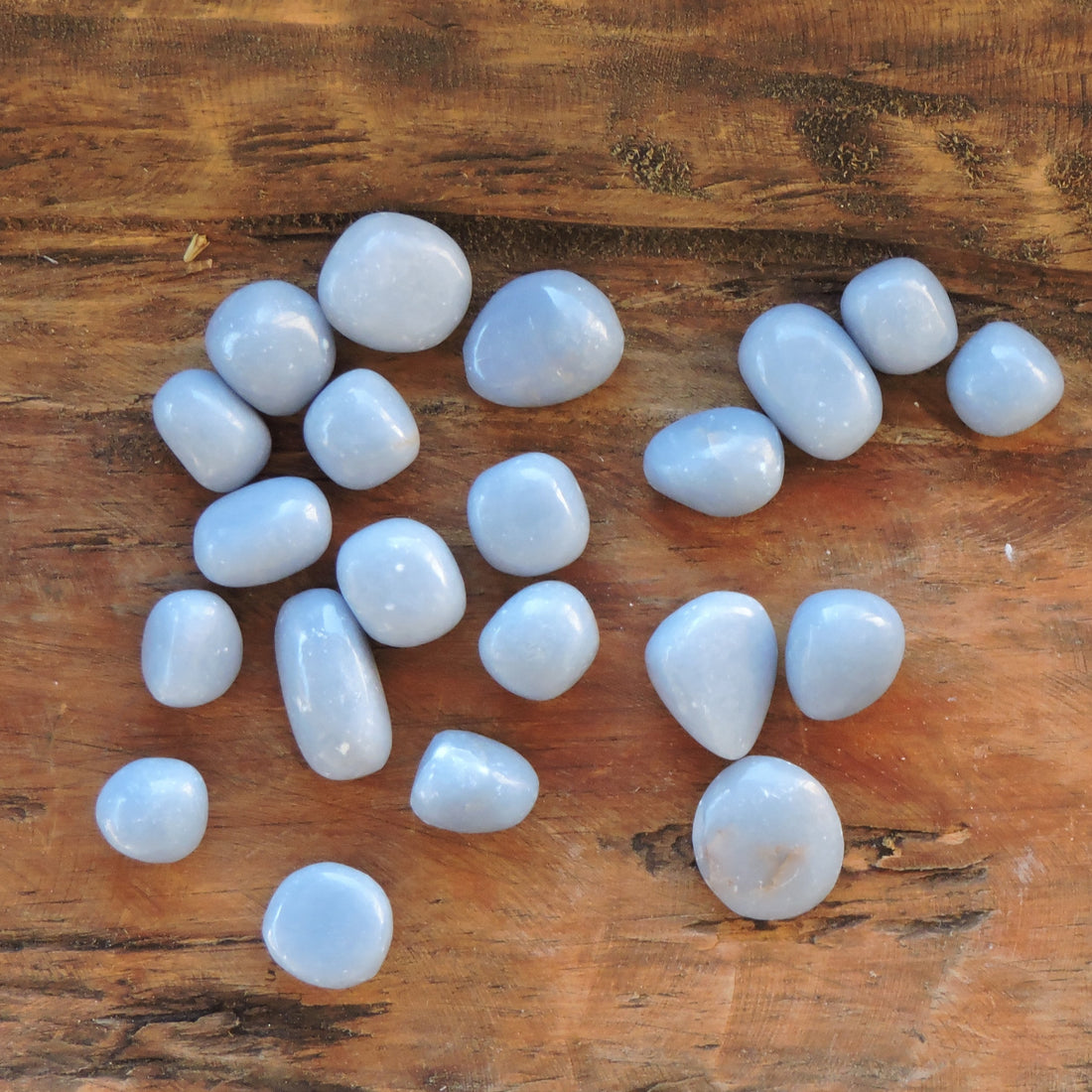 ✨ Angelite Crystal - Polished & Serene ✨ 2 sizes