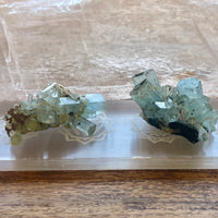 Aquamarine Specimens - Namibia
