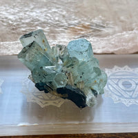 Aquamarine with Black Tourmaline Specimen | Erongo, Namibia