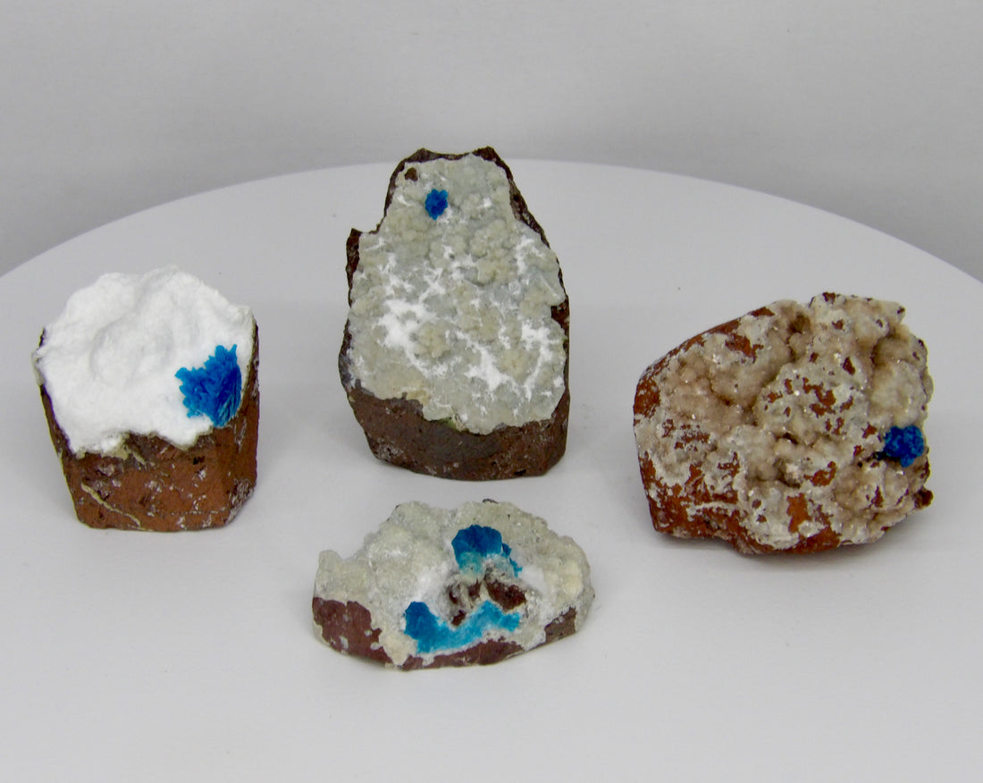 Rare Cavansite specimen from India featuring vivid electric-blue crystal rosettes on natural matrix available as a choose your piece listing from Star Woman Crystals.