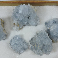 Celestite Clusters (Price Per Piece)