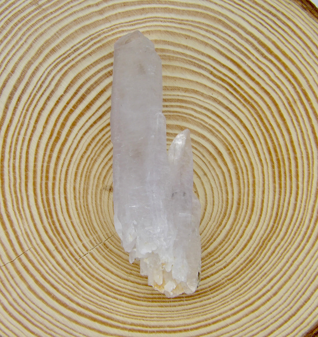 Cholla de Veracruz Quartz Crystal | Choose Your Piece | Veracruz, Mexico