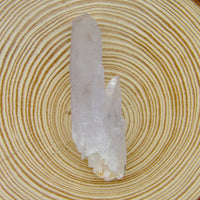 Cholla de Veracruz Quartz Crystal | Choose Your Piece | Veracruz, Mexico