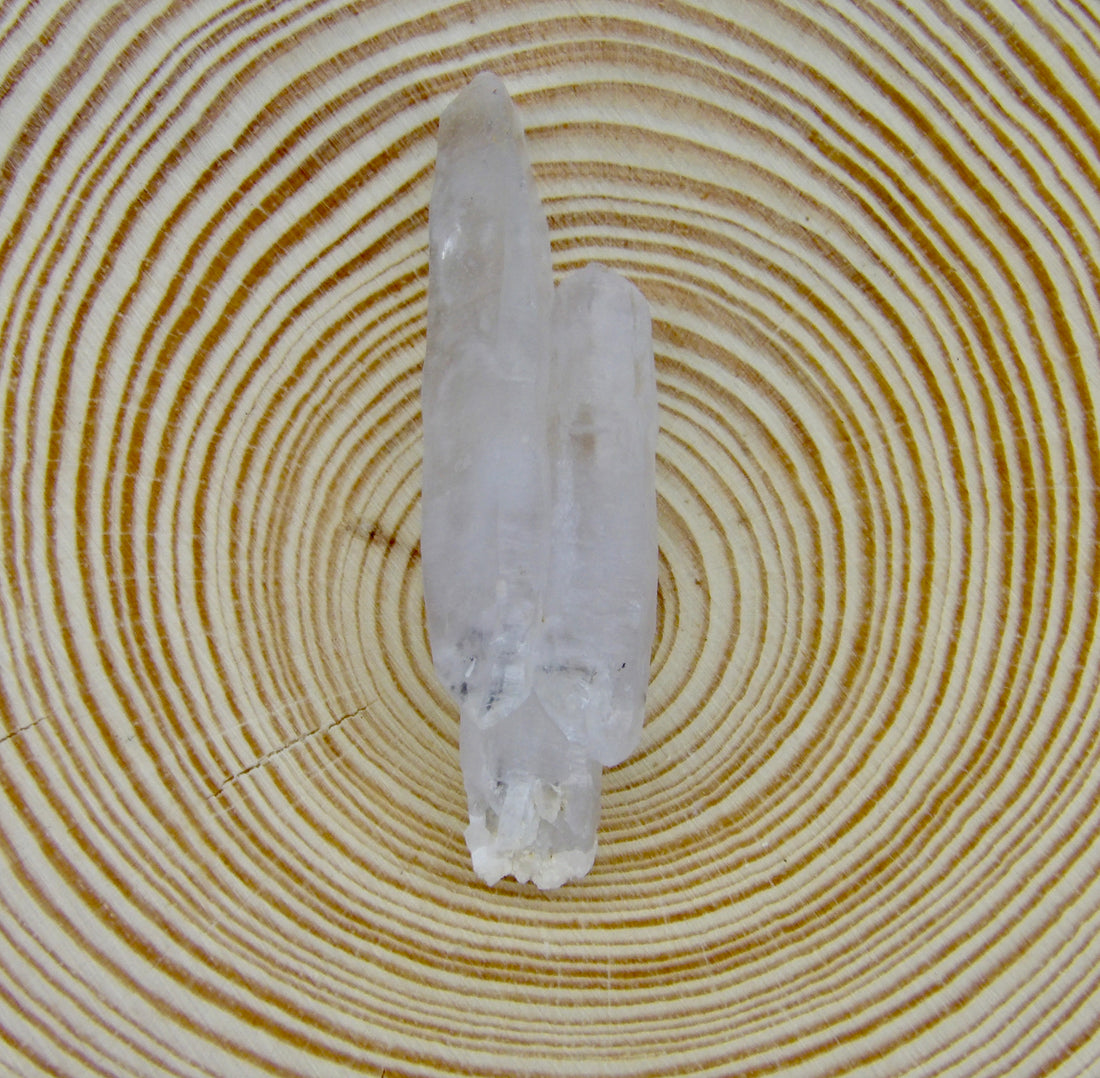 Cholla de Veracruz Quartz Crystal | Choose Your Piece | Veracruz, Mexico
