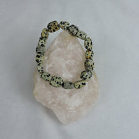 Dalmatian Stone Stretch Bracelet (Price Per Piece)