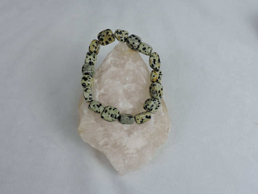 Dalmatian Stone Stretch Bracelet (Price Per Piece)