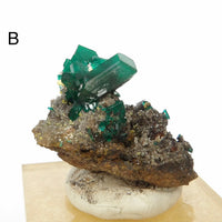 Dioptase Specimens from DR Congo | Choose Your Piece