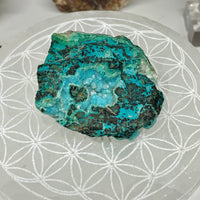 Druzy Chrysocolla — Mexico