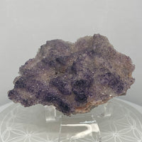 Druzy Fluorite & Calcite from El Potosí Mine, Mexico