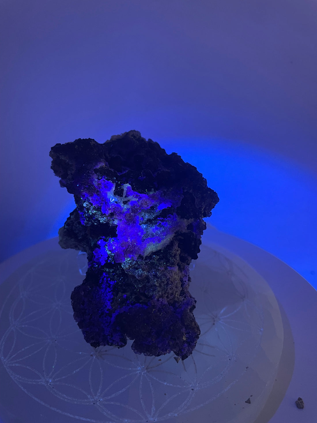Druzy Fluorite - UV reactive - from Mexico