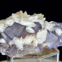 Natural 282g Calcite on Purple Fluorite specimen from Balochistan Pakistan with lavender purple cubic fluorite with Calcite - UV Reactive