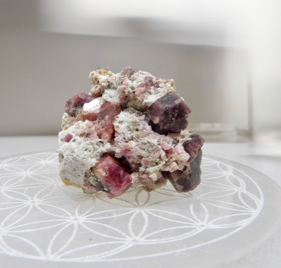 Rasberry Garnet - Mexico