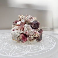 Rasberry Garnet - Mexico
