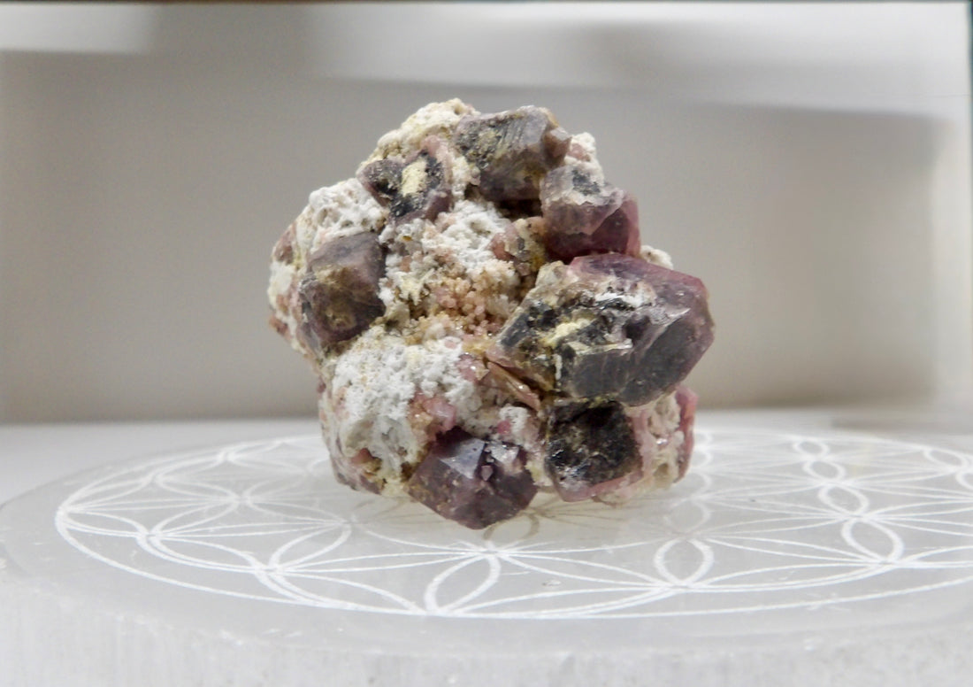 Rasberry Garnet Specimen - Mexico
