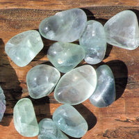 Tumbled Green Fluorite - 2 Sizes (Large and Small)