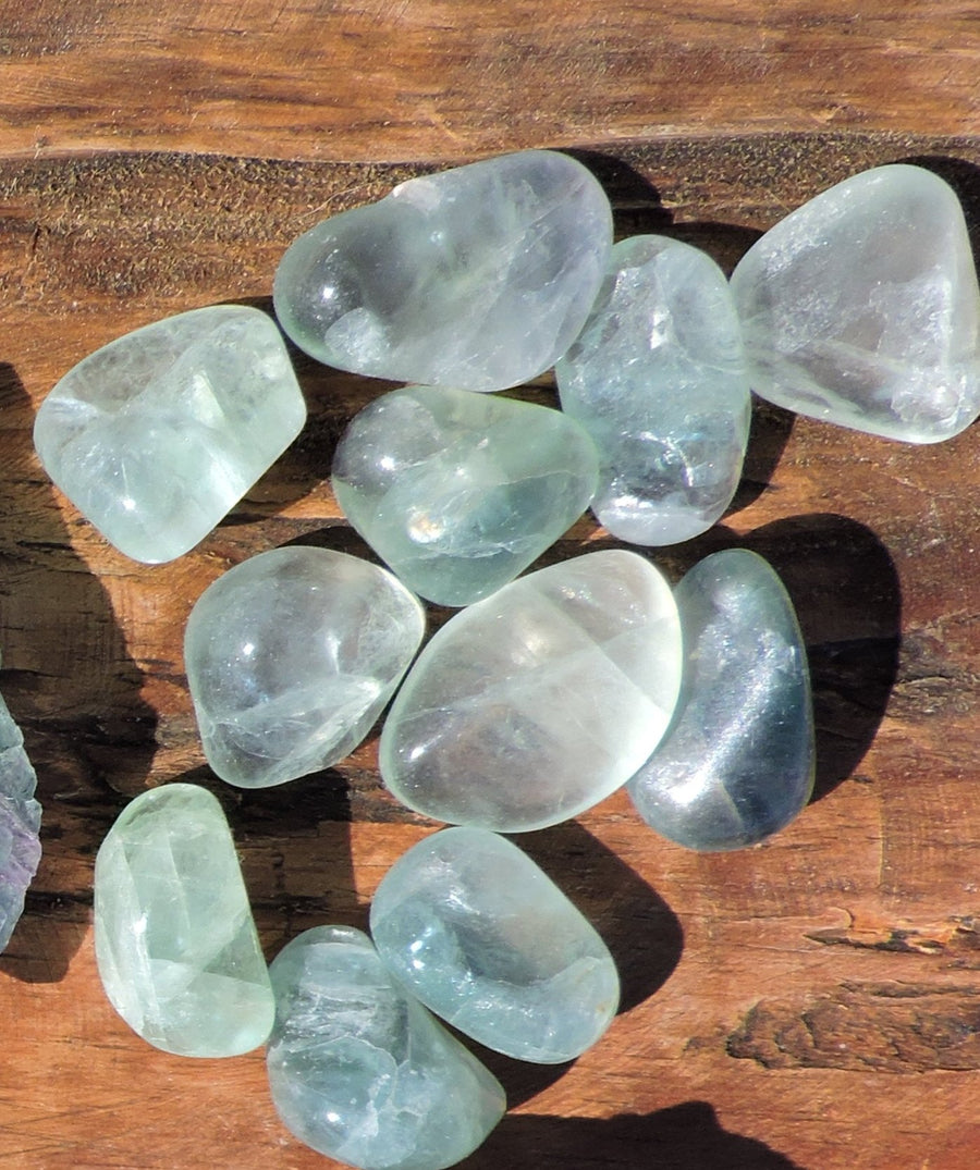 Tumbled Green Fluorite - 2 Sizes (Large and Small)