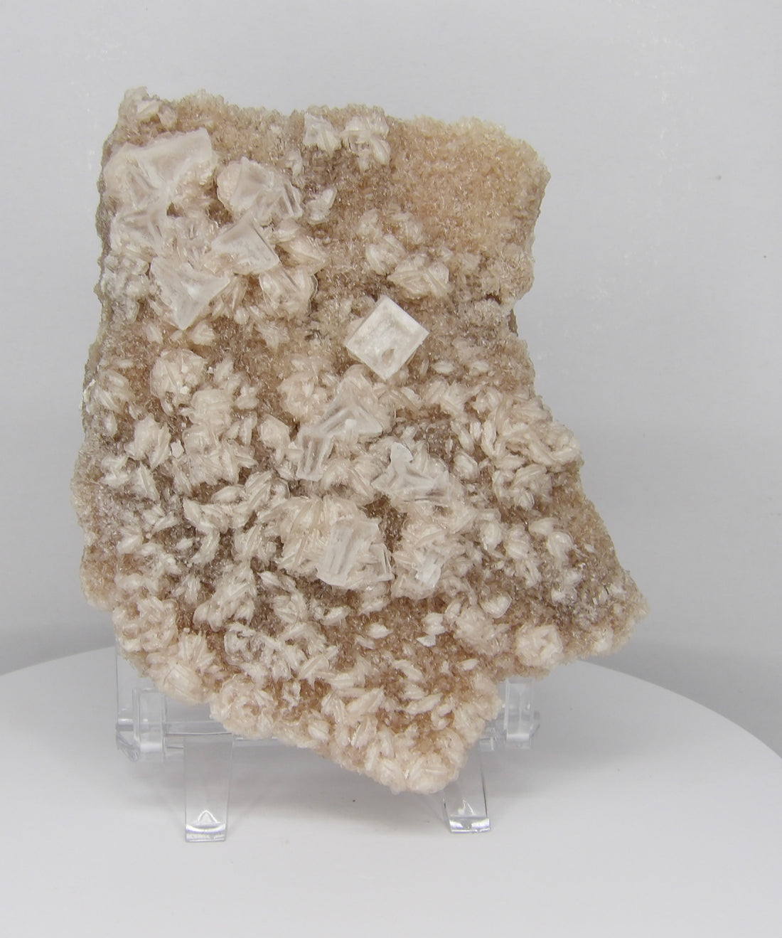 Natural Halite Crystal Specimen | Collector Mineral from Ancient Evaporite Deposits