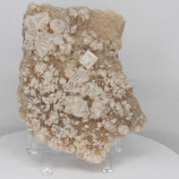 Natural Halite Crystal Specimen | Collector Mineral from Ancient Evaporite Deposits