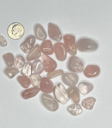 Rose Quartz - Tumbled (2g) (Price Per Piece)