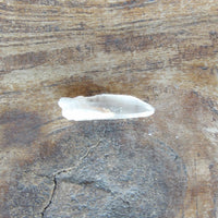 Natural Lemurian quartz crystal with unique inclusion