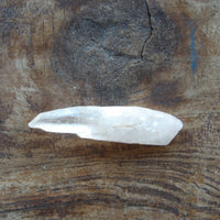 Raw Lemurian companion quartz crystal point