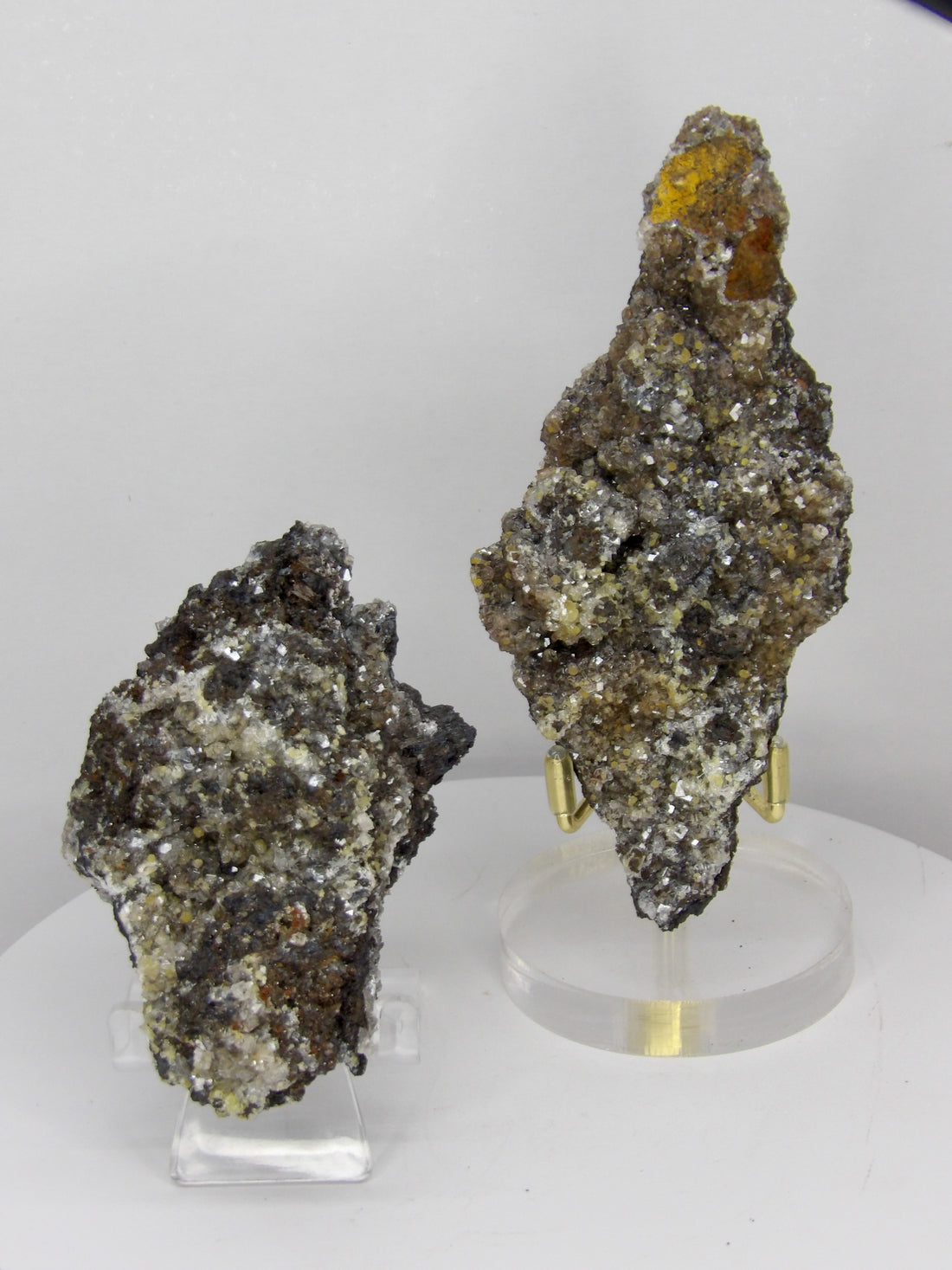 Pyrolusite with Druzy Crystals | Choose Your Piece | Collector Specimen | Mexico