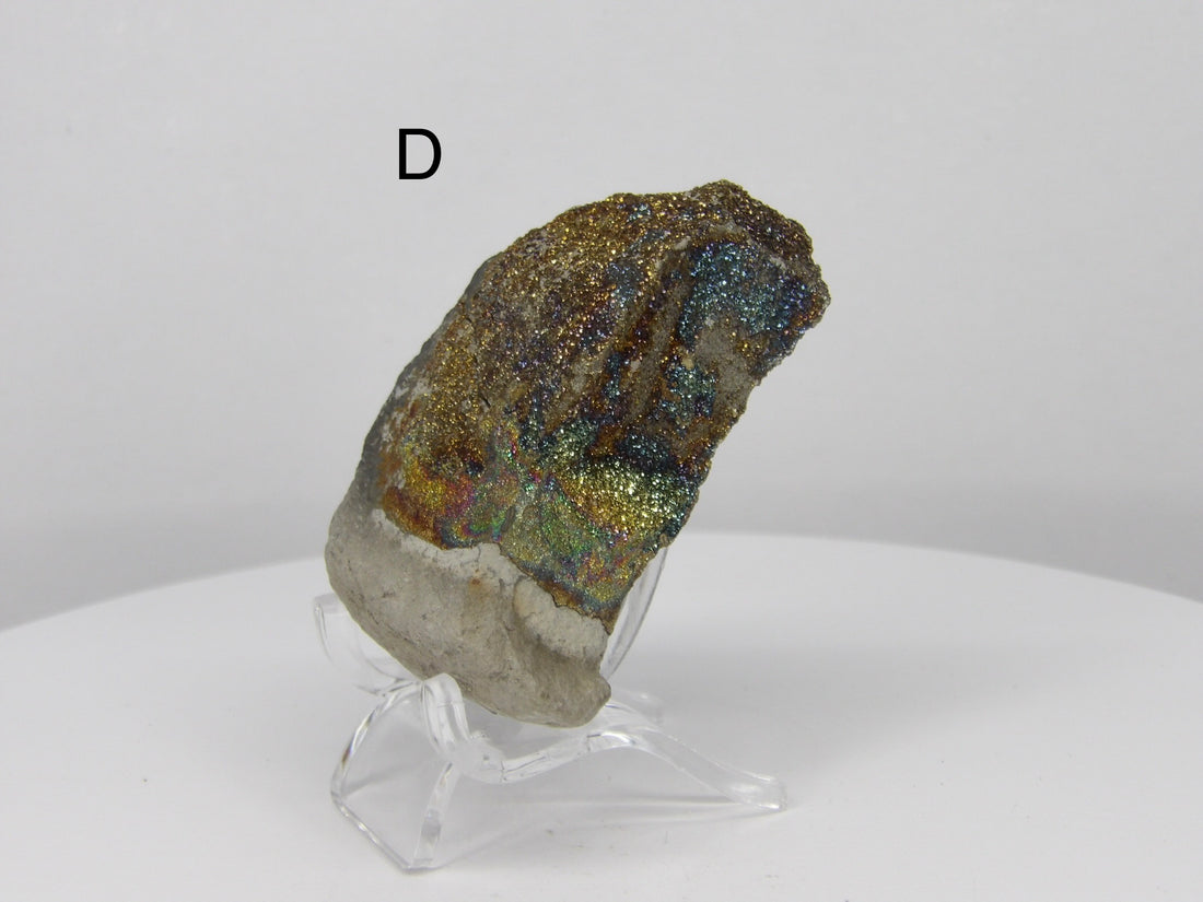 Rainbow Pyrite from Russia | Choose Your Piece