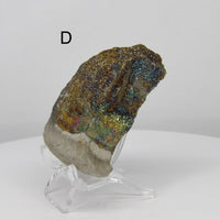 Rainbow Pyrite from Russia | Choose Your Piece