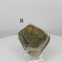 Rainbow Pyrite from Russia | Choose Your Piece