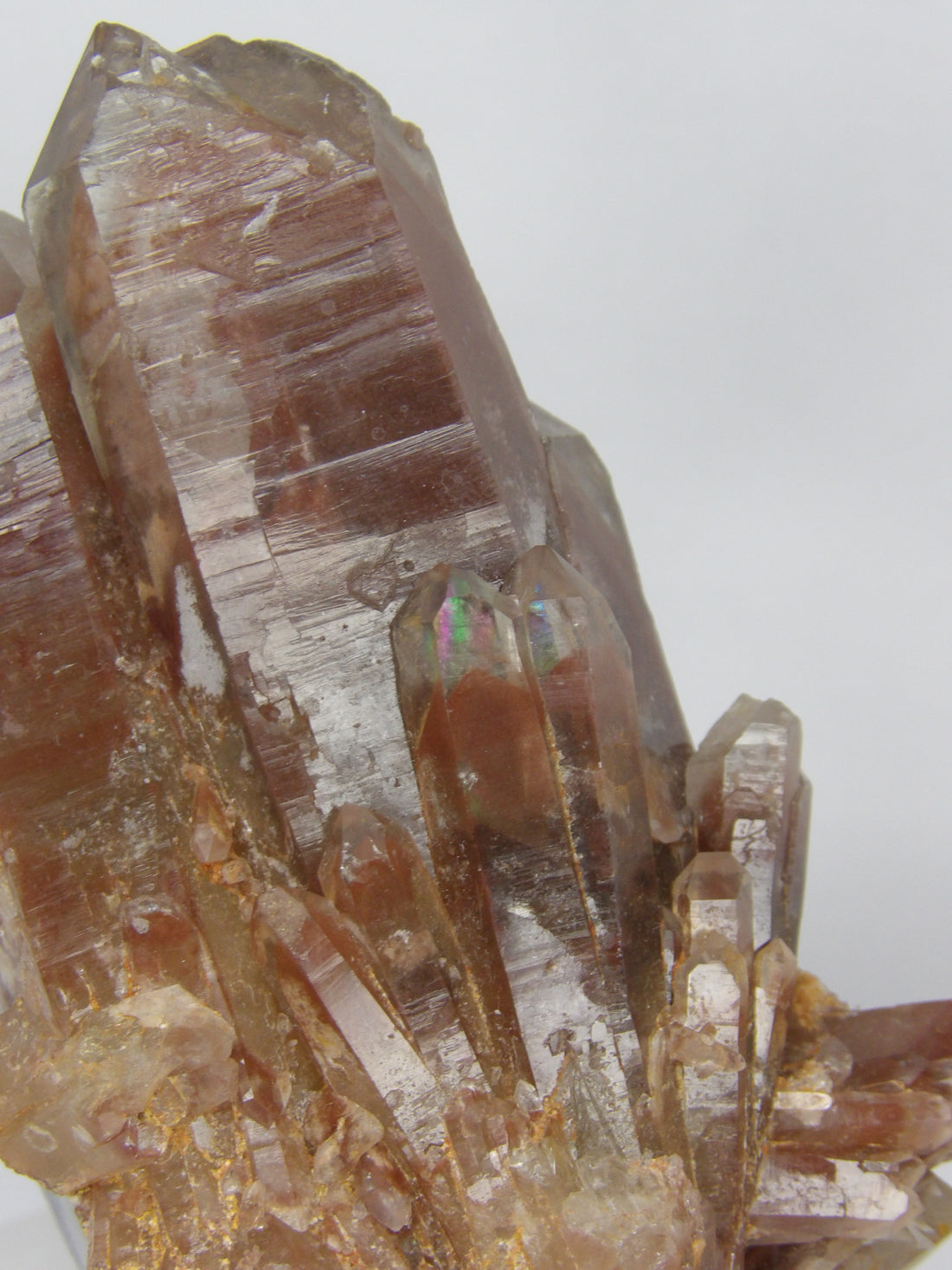 Red Hematoid Phantom Quartz - Double Rainbow
