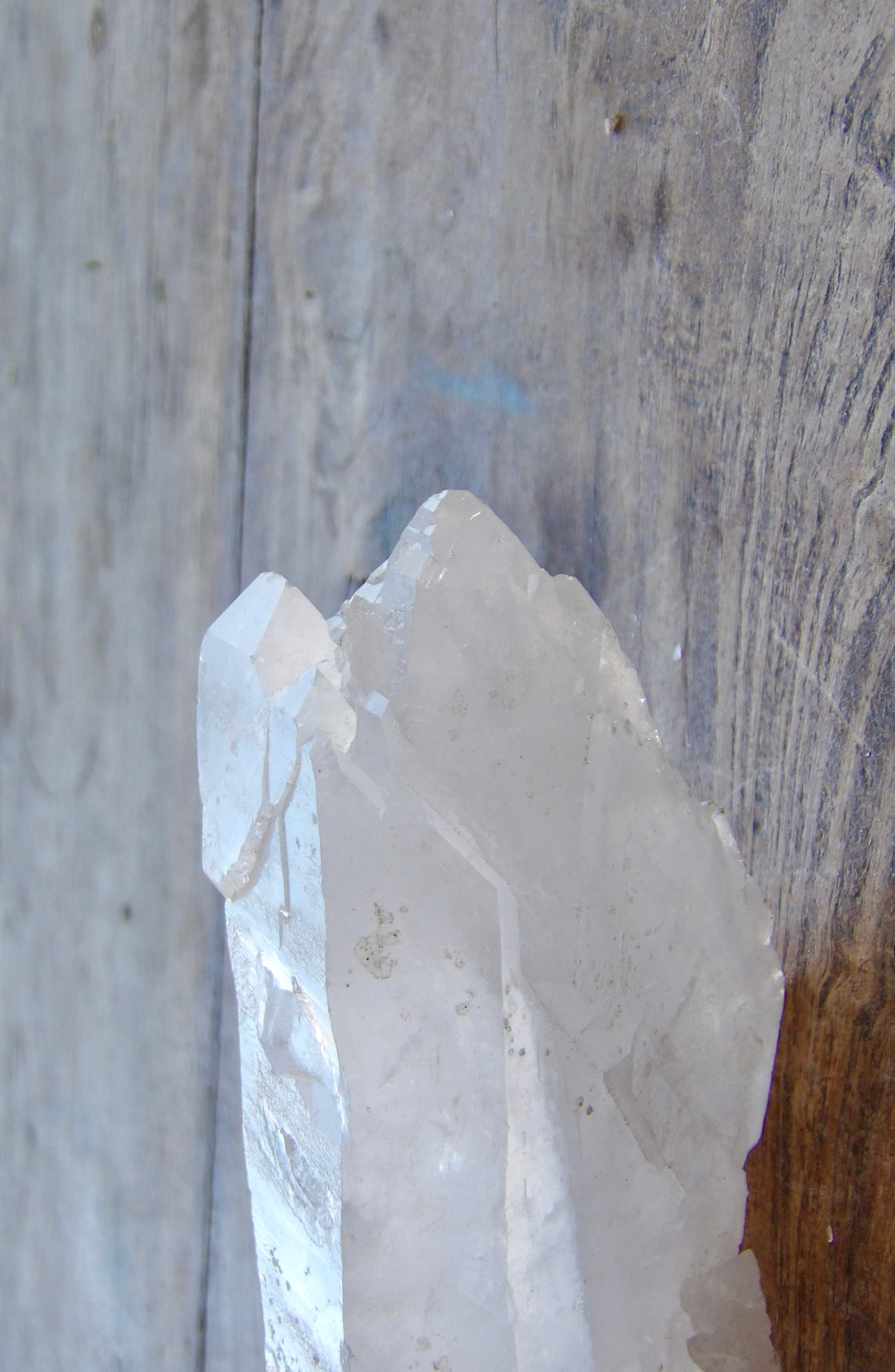 Self-Healed Crystals – Sacred Stones of Transformation ✨🌙