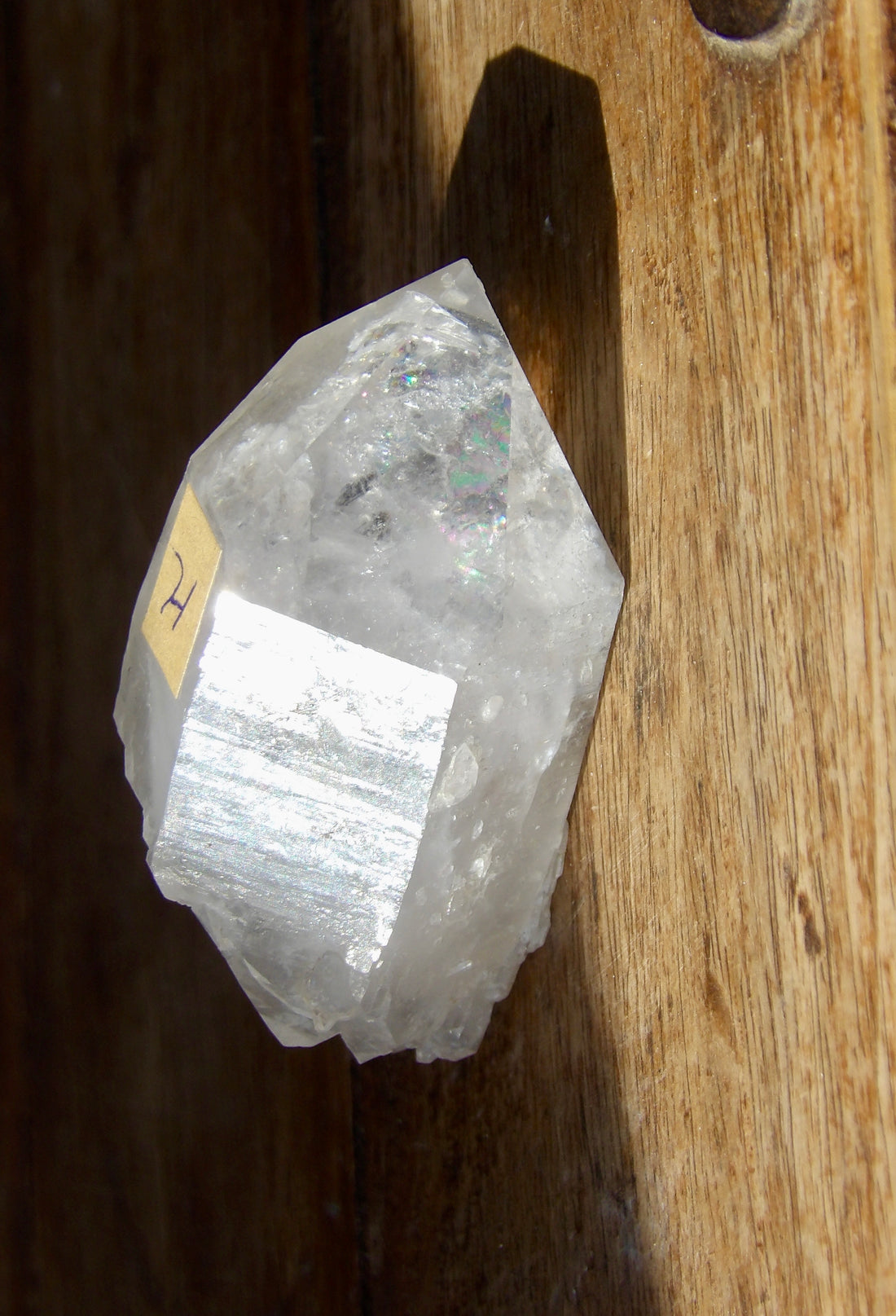 Self-Healed Crystals – Sacred Stones of Transformation ✨🌙