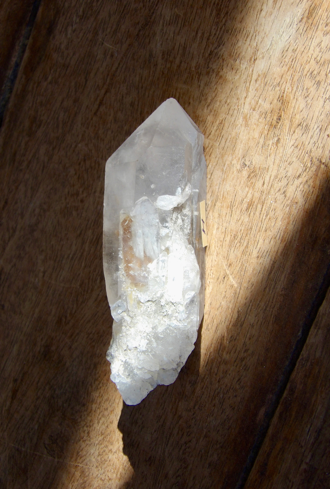 Self-Healed Crystals – Sacred Stones of Transformation ✨🌙