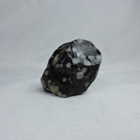 ✨ Raw Snowflake Obsidian Crystal ✨