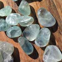 Tumbled Green Fluorite - 2 Sizes (Large and Small)